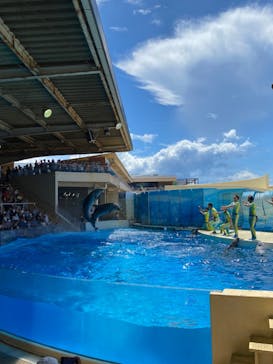 新江ノ島水族館に投稿された画像（2023/8/26）