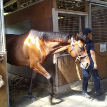 ノーザンホースパークに投稿された画像（2023/8/26）