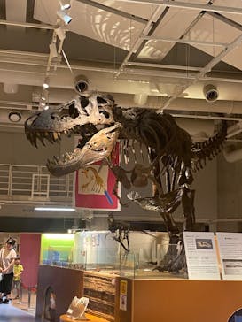 国立科学博物館に投稿された画像（2023/8/26）