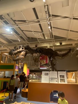 国立科学博物館に投稿された画像（2023/8/26）