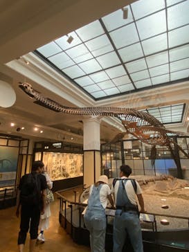 国立科学博物館に投稿された画像（2023/8/26）