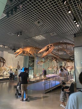 国立科学博物館に投稿された画像（2023/8/26）