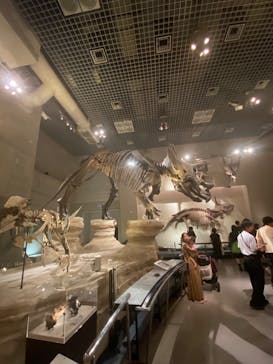 国立科学博物館に投稿された画像（2023/8/26）