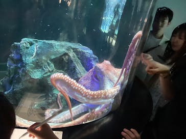 サンシャイン水族館に投稿された画像（2023/8/26）