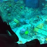 レゴランドⓇ・ジャパン・リゾートに投稿された画像（2023/8/26）