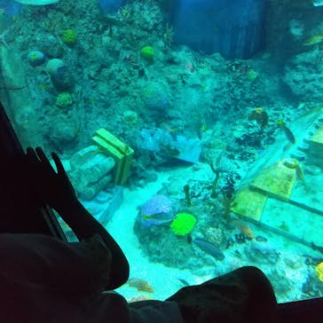 レゴランドⓇ・ジャパン・リゾートに投稿された画像（2023/8/26）