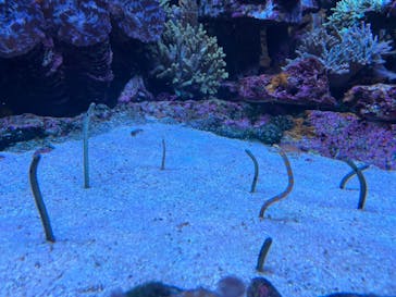 サンシャイン水族館に投稿された画像（2023/8/26）