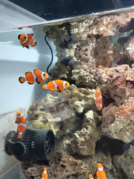 マクセル アクアパーク品川に投稿された画像（2023/8/26）