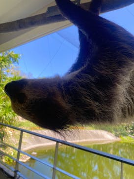 ネオパークオキナワに投稿された画像（2023/8/26）