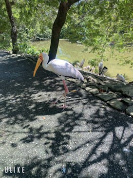 ネオパークオキナワに投稿された画像（2023/8/26）