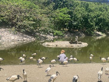 ネオパークオキナワに投稿された画像（2023/8/26）