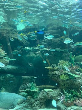 名古屋港水族館に投稿された画像（2023/8/26）