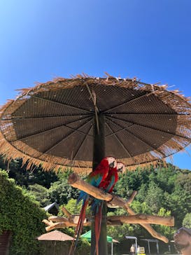 長崎バイオパークに投稿された画像（2023/8/26）