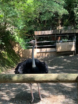 長崎バイオパークに投稿された画像（2023/8/26）