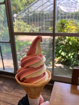 長崎バイオパークに投稿された画像（2023/8/26）