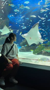 サンシャイン水族館に投稿された画像（2023/8/26）