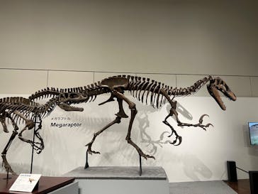 大阪市立自然史博物館に投稿された画像（2023/8/26）