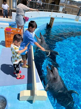 マリンワールド海の中道に投稿された画像（2023/8/26）