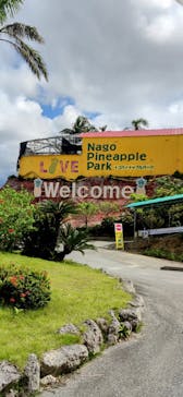 ナゴパイナップルパークに投稿された画像（2023/8/26）