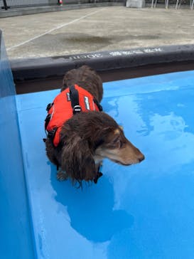 わんダフルネイチャーヴィレッジに投稿された画像（2023/8/26）