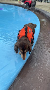 わんダフルネイチャーヴィレッジに投稿された画像（2023/8/26）