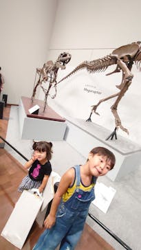 大阪市立自然史博物館に投稿された画像（2023/8/26）