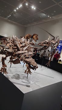 大阪市立自然史博物館に投稿された画像（2023/8/26）