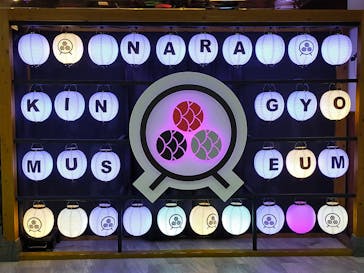 NARA KINGYO MUSEUMに投稿された画像（2023/8/26）