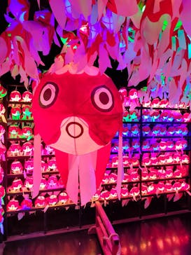 NARA KINGYO MUSEUMに投稿された画像（2023/8/26）