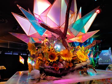 NARA KINGYO MUSEUMに投稿された画像（2023/8/26）