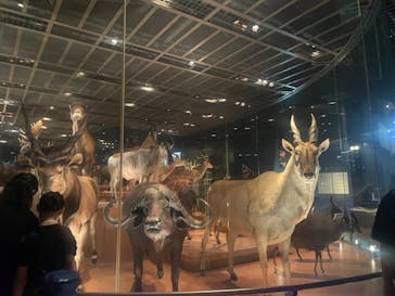 国立科学博物館に投稿された画像（2023/8/26）