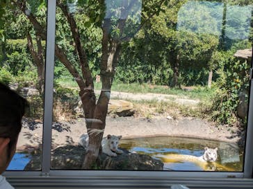 群馬サファリパークに投稿された画像（2023/8/26）