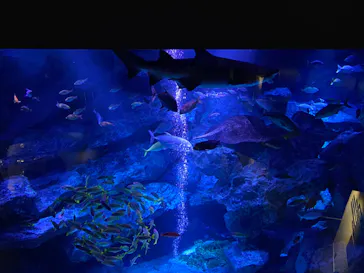 すみだ水族館に投稿された画像（2023/8/26）