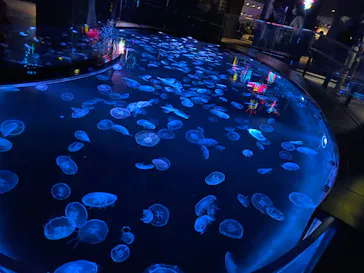 すみだ水族館に投稿された画像（2023/8/26）