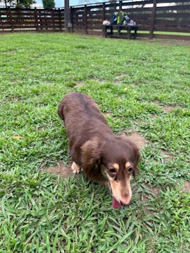 わんダフルネイチャーヴィレッジに投稿された画像（2023/8/26）