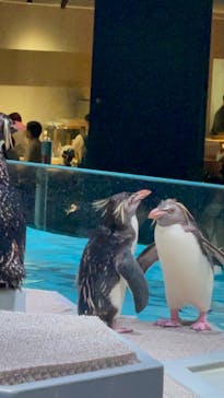 AOAO SAPPOROに投稿された画像（2023/8/26）