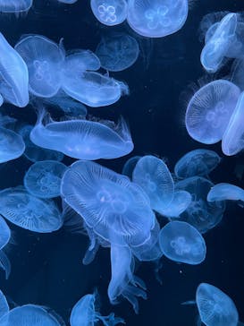 AOAO SAPPOROに投稿された画像（2023/8/26）