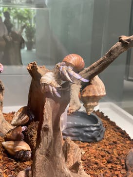 AOAO SAPPOROに投稿された画像（2023/8/26）