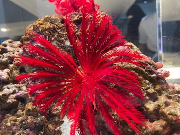 AOAO SAPPOROに投稿された画像（2023/8/26）