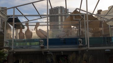 サンシャイン水族館に投稿された画像（2023/8/26）