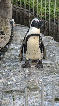 サンシャイン水族館に投稿された画像（2023/8/26）