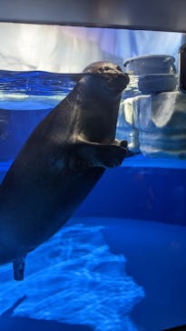 サンシャイン水族館に投稿された画像（2023/8/26）