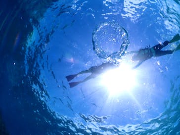 ちゃこたびに投稿された画像（2023/8/26）