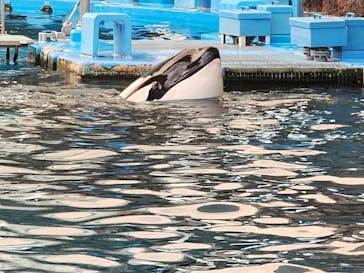 名古屋港水族館に投稿された画像（2023/8/26）