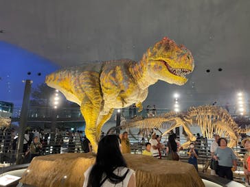 福井県立恐竜博物館に投稿された画像（2023/8/26）