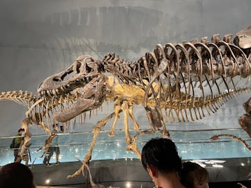 福井県立恐竜博物館に投稿された画像（2023/8/26）