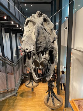 福井県立恐竜博物館に投稿された画像（2023/8/26）