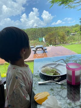 美らヤシパークオキナワ・東南植物楽園に投稿された画像（2023/8/26）