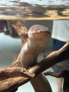 AOAO SAPPOROに投稿された画像（2023/8/26）