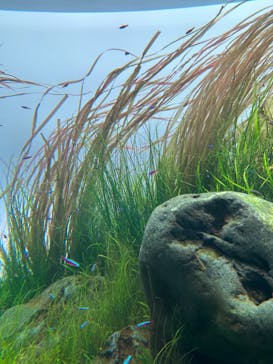 AOAO SAPPOROに投稿された画像（2023/8/26）